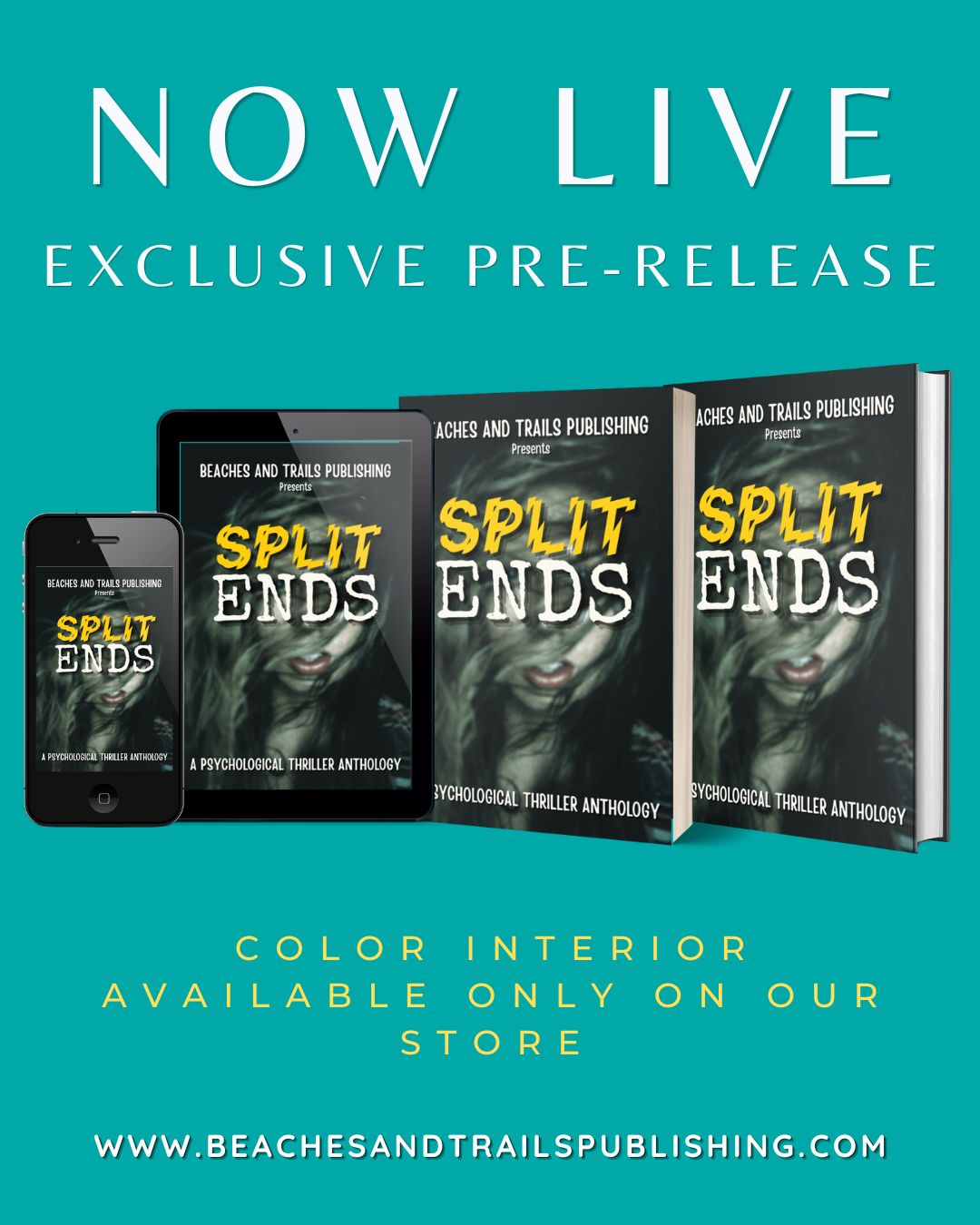 Split Ends — A Psychological Thriller Anthology